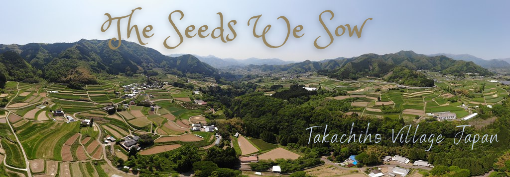 The Seeds We Sow – Takachiho Village Japan – Angle & Perspective