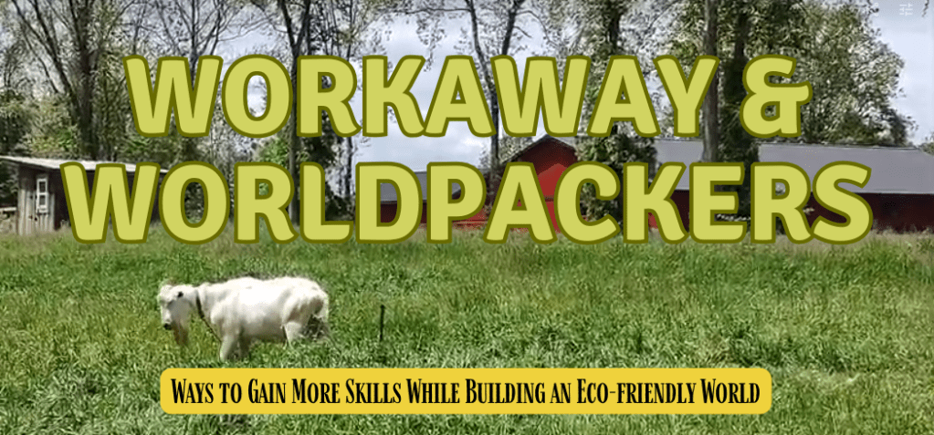WorkAway and WorldPackers