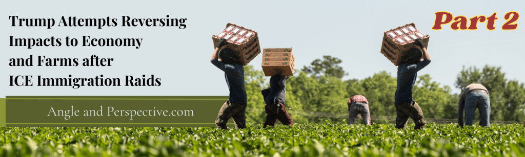 Will Americans Pick Up The Slack of Missing Migrant Farm&nbsp;Workers?